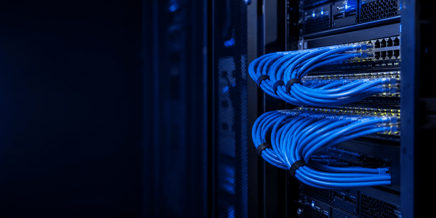 Networking & IT Infrastructure