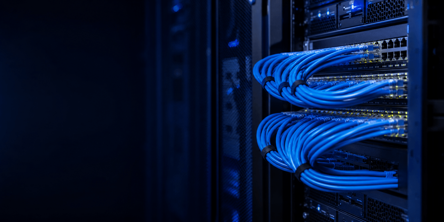 Structured Cabling & LAN Setup visual
